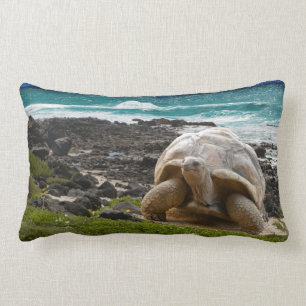 Large turtle at the sea edge lumbar pillow