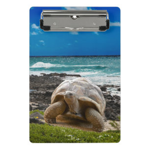 Large turtle at the sea edge mini clipboard