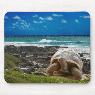 Large turtle at the sea edge mouse pad