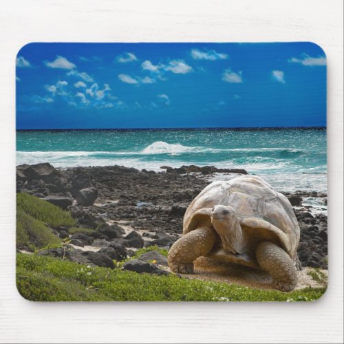 Large turtle at the sea edge mouse pad