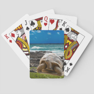 Large turtle at the sea edge poker cards