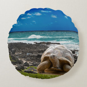Large turtle at the sea edge round pillow