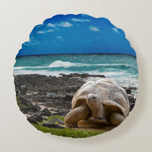 Large turtle at the sea edge round pillow