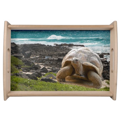 Large turtle at the sea edge serving tray