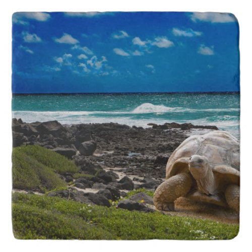 Large turtle at the sea edge trivet
