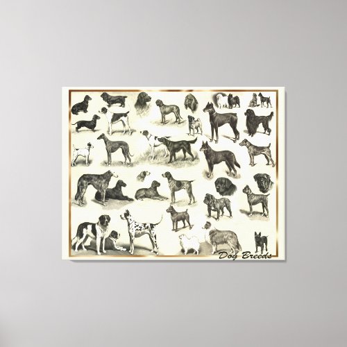 Large Vintage Dog Breeds Vets and Dog lovers Hound Canvas Print