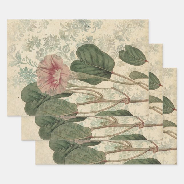 Large Vintage Pink Floral Wrapping Paper Sheets (Set)