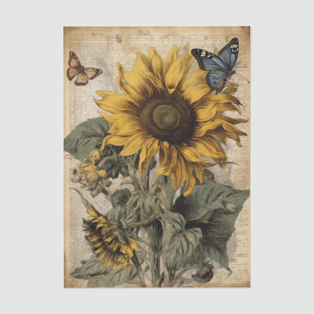 Large Vintage Sunflowers, Butterflies and Script Tissue Paper (Front)