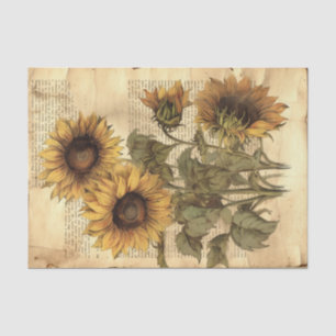 Large Vintage Sunflowers on Script Tissue Paper