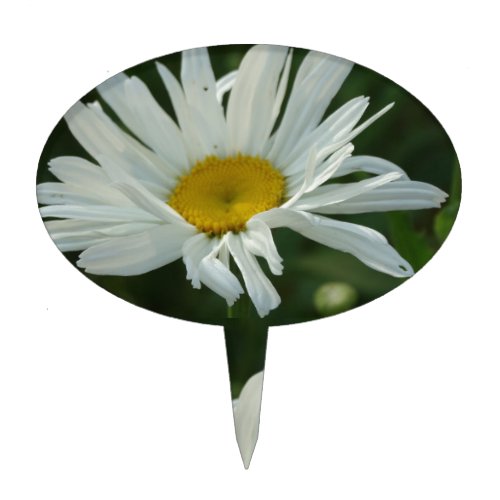 Large White and yellow Daisy Aster flowers Cake Topper
