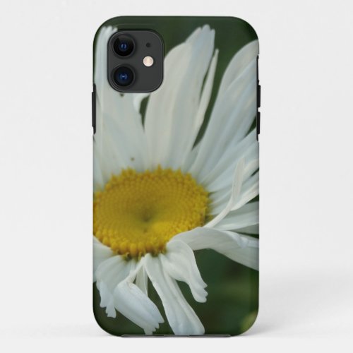 Large White and yellow Daisy Aster flowers iPhone 11 Case