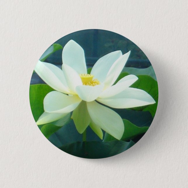 large white lily button (Front)