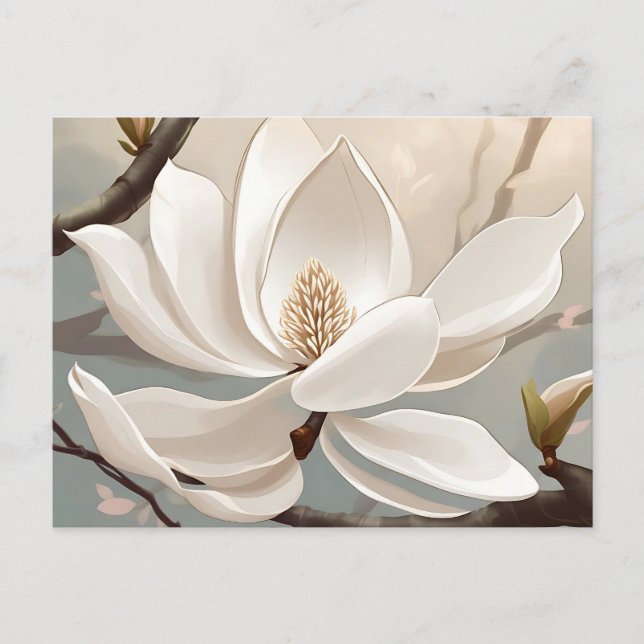 Large White Magnolia Flower Postcard (Front)