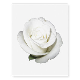 Large White Rose Temporary Tattoos