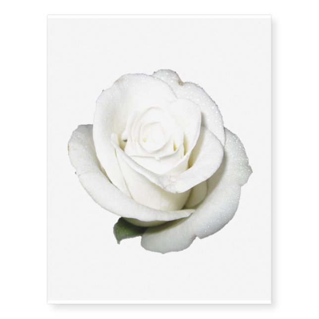 Large White Rose Temporary Tattoos (Front)