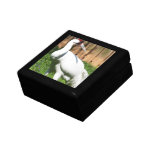 Large Whooping Crane Keepsake Box