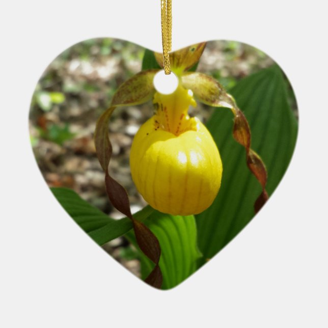 Large Yellow Lady Slipper Cypripedium Ceramic Ornament (Front)