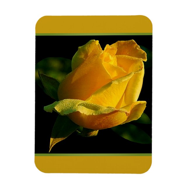 Large Yellow Rose  Magnet (Vertical)
