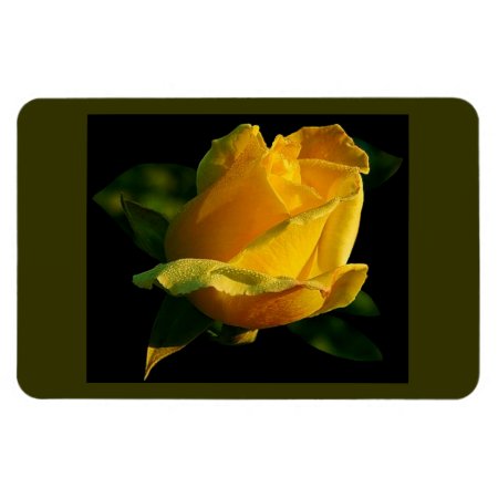 Large Yellow Rose Magnet