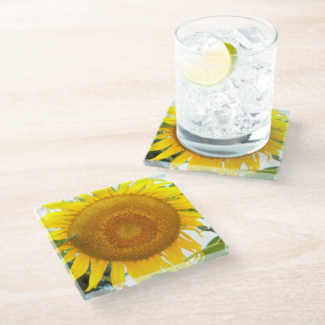 Large Yellow Sunflower Bloom Floral Glass Coaster (Angled)