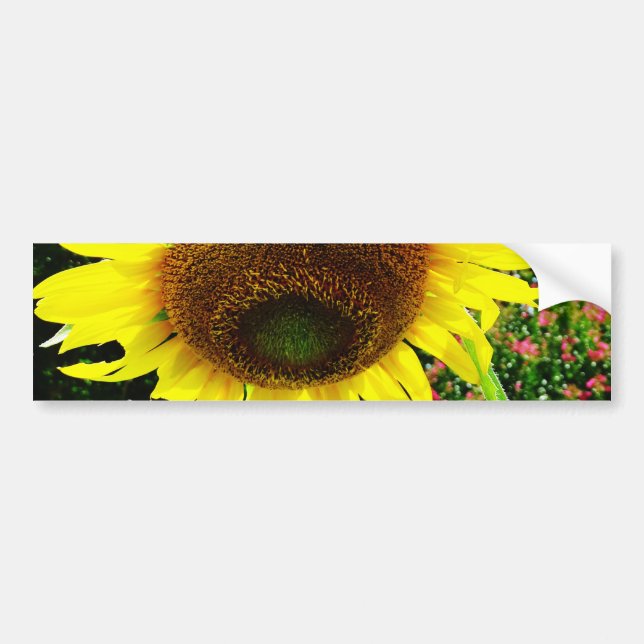 Large yellow Sunflower Bumper Sticker (Front)