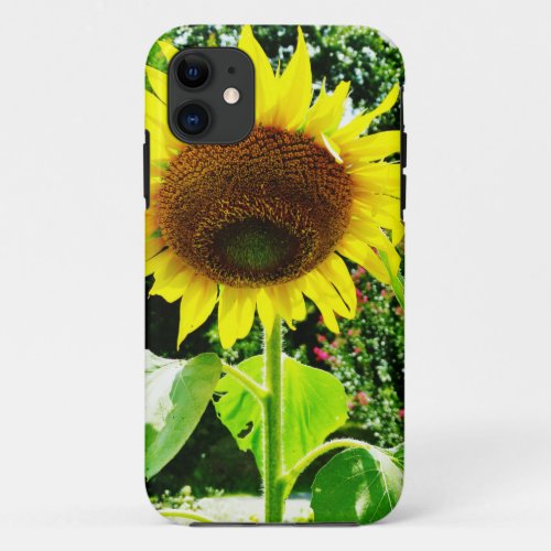 Large yellow Sunflower iPhone 11 Case