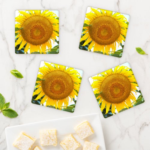 Large Yellow Sunflower Floral Coaster Set