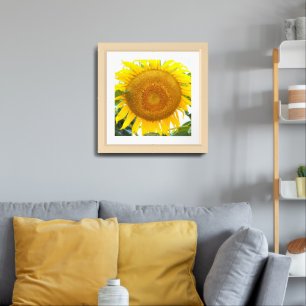 Large Yellow Sunflower Floral Framed Art