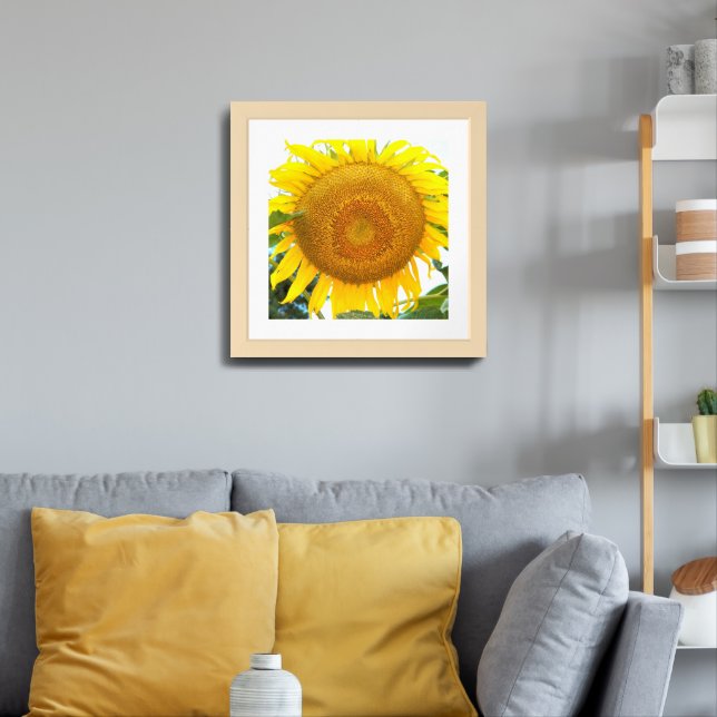 Large Yellow Sunflower Floral Framed Art (Living Room 3)