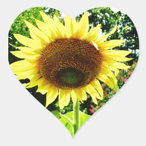 Large yellow Sunflower Heart Sticker