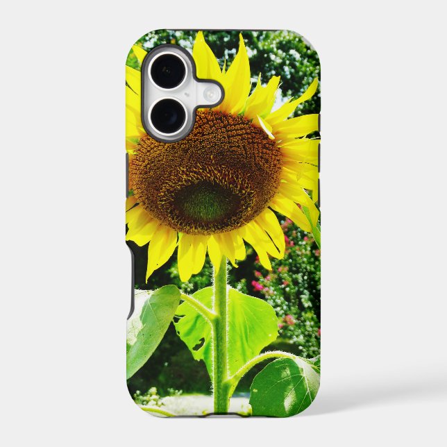 Large yellow Sunflower Iphone Case (Back)