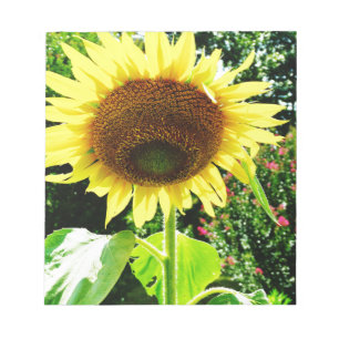 Large yellow Sunflower Notepad