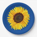 Large Yellow Sunflower on Blue Background Paper Plates