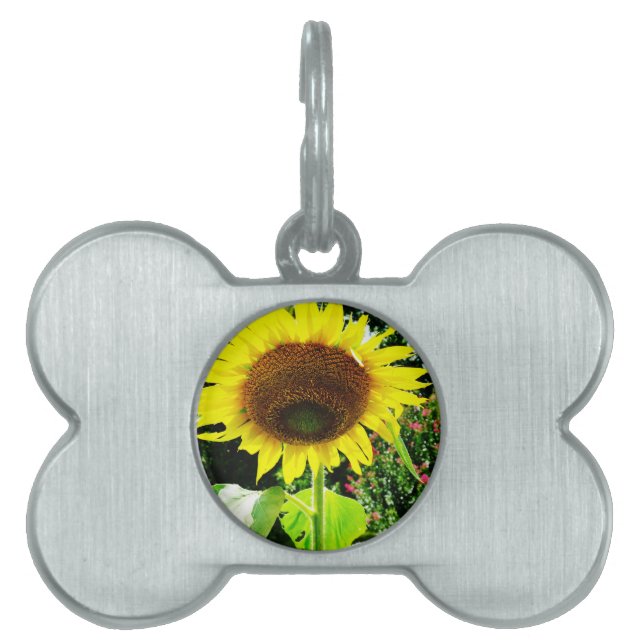 Large yellow Sunflower Pet Tag (Front)