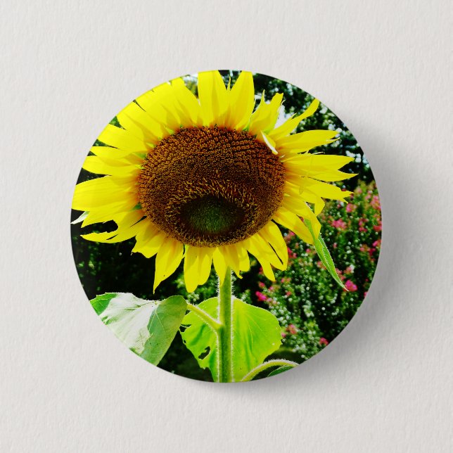 Large yellow Sunflower Pinback Button (Front)