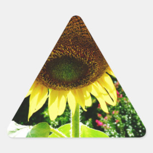 Large yellow Sunflower Triangle Sticker