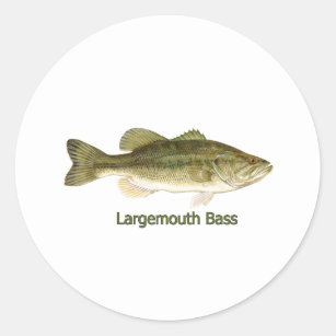 Largemouth Bass Logo (titled) Classic Round Sticker