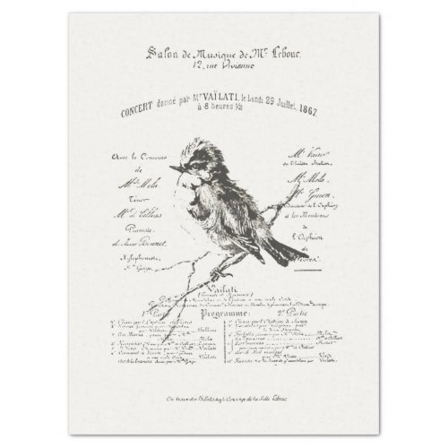 Larger French Music Salon Bird Script Tissue Paper