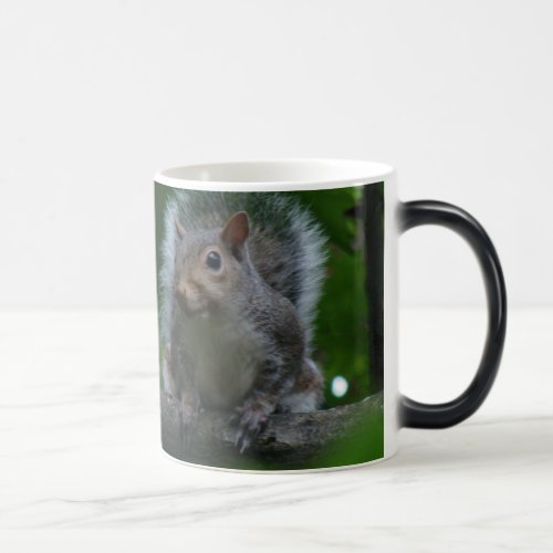 larger squirrel magic mug