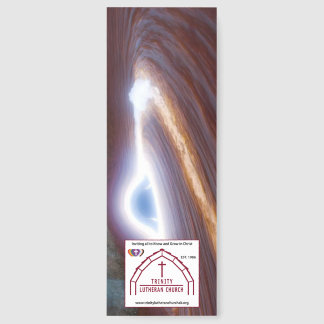 Largest Observed Flare Black Hole Bookmark