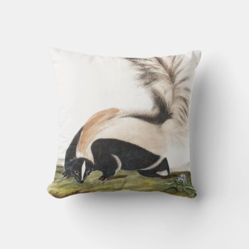 LargeTailed Skunk Mephitis macroura Illustration Throw Pillow