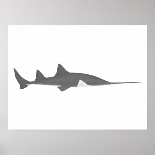 Largetooth Sawfish Poster