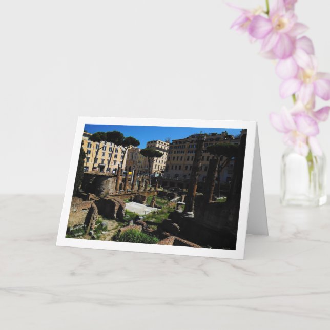 Largo di Torre Argentina Scene, Rome, Italy Card (Orchid)