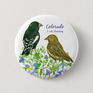 Lark Bunting Sparrow Birds Colorado Columbine Pinback Button