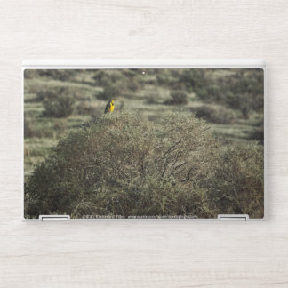 Lark on the Bush HP Laptop Skin