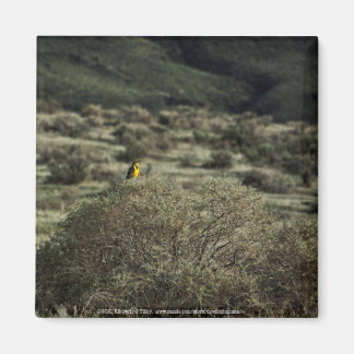 Lark on the Bush Magnet