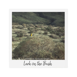 Lark on the Bush Metal Print