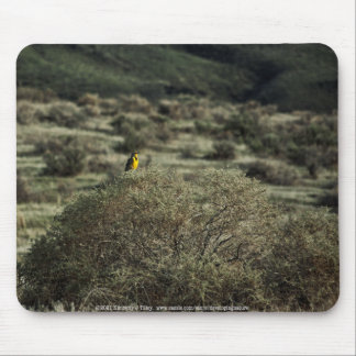 Lark on the Bush Mouse Pad