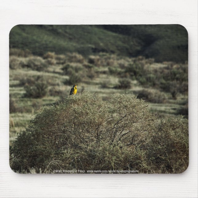 Lark on the Bush Mouse Pad (Front)
