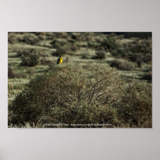 Lark on the Bush Poster